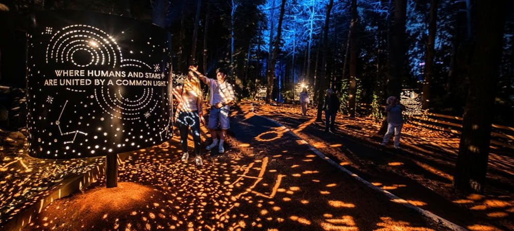 Karnaval medya sponsorluğunda Astra Lumina ile yıldızlarla çevrili büyüleyici bir gece yürüyüşü